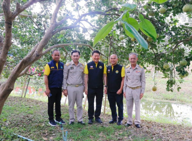 ลงพื้นที่ตรวจเยี่ยมและติดตามการดำเนินงานของศูนย์เรียนรู้การปลูกส้มโอทับทิมสยามบ้านแสงวิมานตำบลคลองน้อย อำเภอปากพนัง จังหวัดนครศรีธรรมราช โดยนายชวกิจจ์ สุวรรณคีรี รองผู้ว่าราชการจังหวัดนครศรีธรรมราช กล่าวต้อนรับพร้อมนายวิศิษฐ์ ศรีสุวรรณ์ อธิบดีกรมส่งเสริม ... พารามิเตอร์รูปภาพ 5